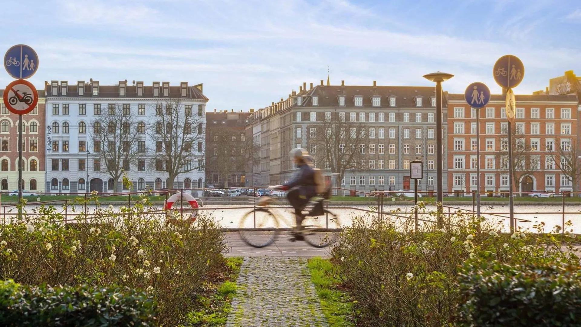 Modern Comfort In Copenhagen'S Coolest District Apartment Denmark