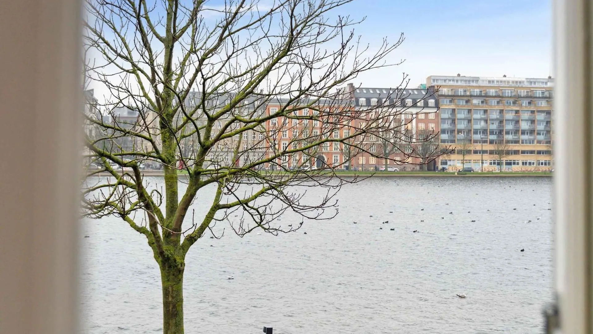 Modern Comfort In Copenhagen'S Coolest District Daire Kopenhag