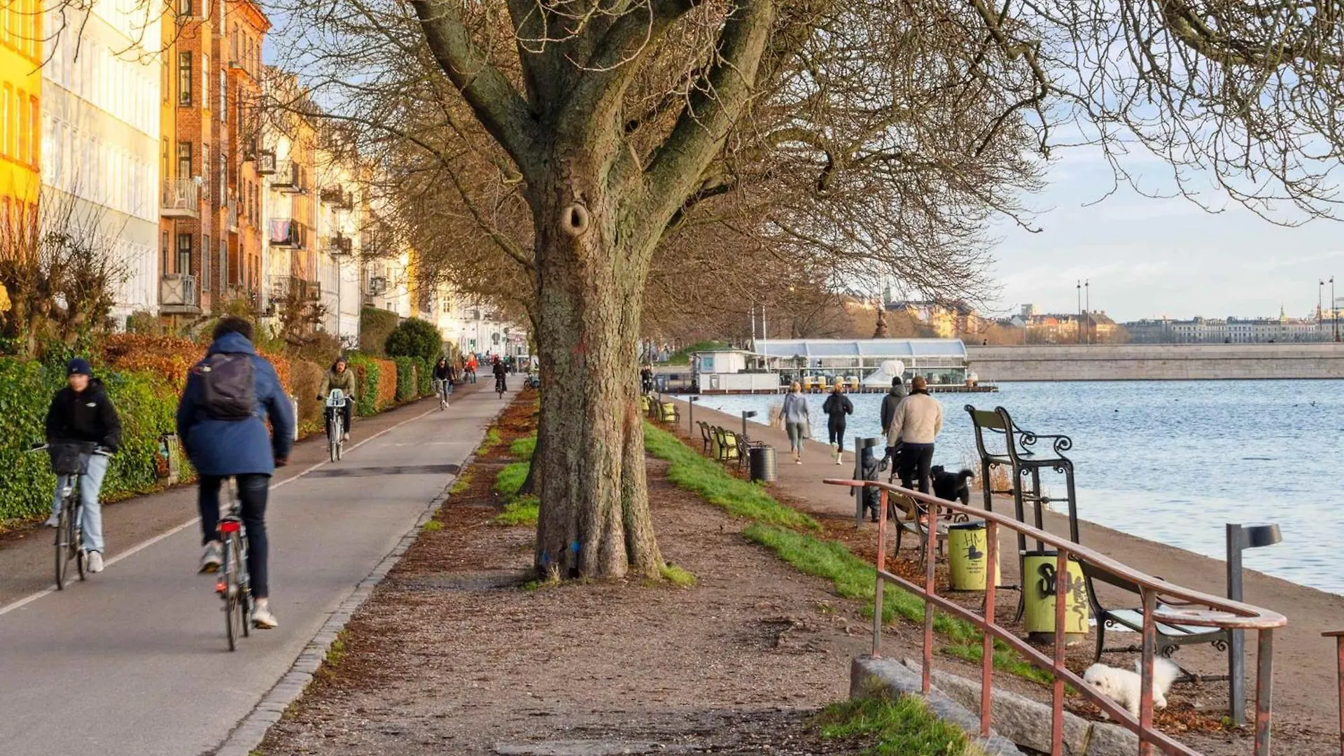 Modern Comfort In Copenhagen'S Coolest District Daire 0*, Kopenhag Danimarka